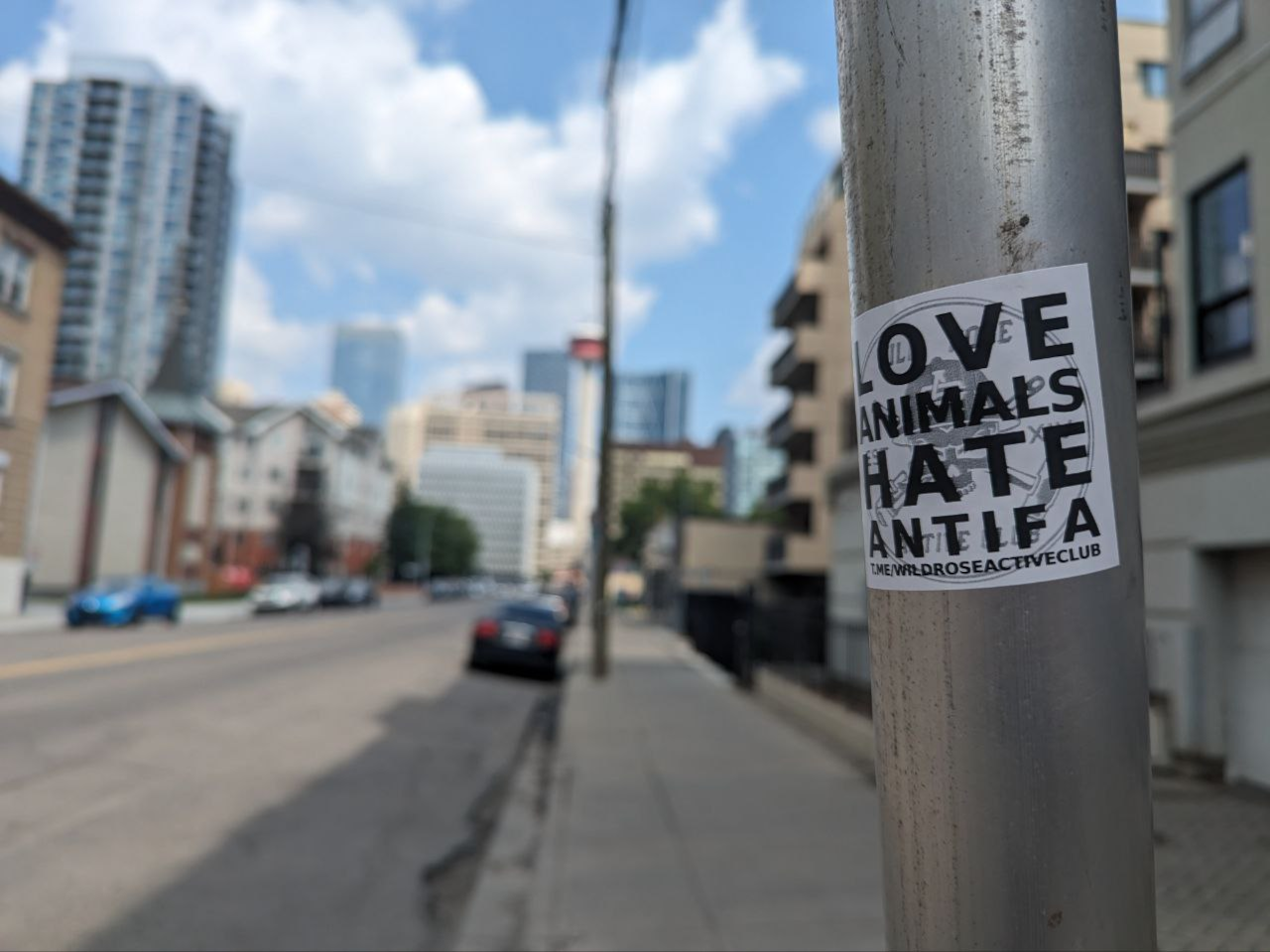 love_animals_hate_antifa